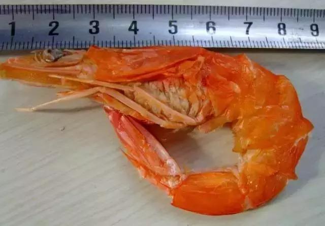 吃貨們看過來！去日照這些美食千萬不要錯過??！