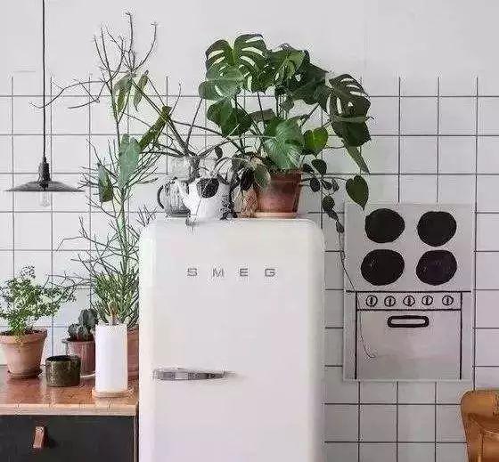 冰箱上別再放這3樣?xùn)|西，費(fèi)電又減壽命，趕緊看！