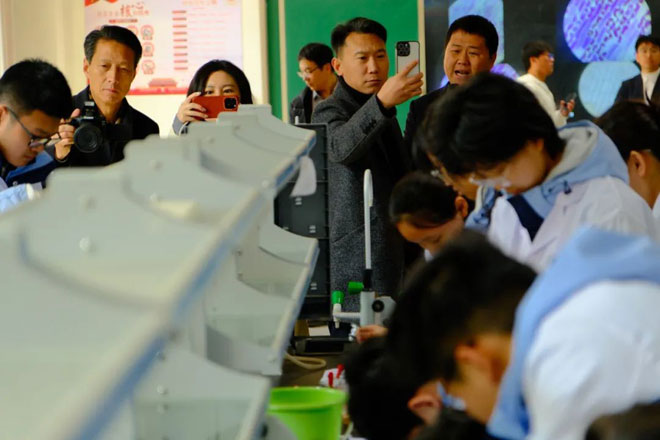 {KS:Field:Title} 第 4 張