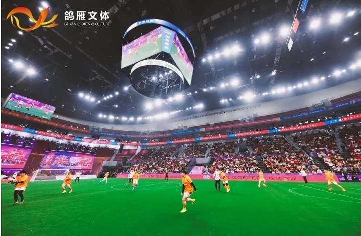 {KS:Field:Title} 第 5 張